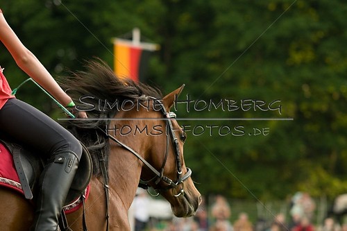 (c)SimoneHomberg_Ponyfest_Schauprogramm_20150606_0234