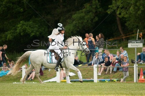 (c)SimoneHomberg_Ponyfest_Schauprogramm_20150606_0246
