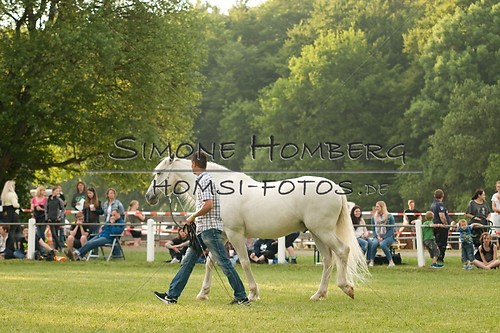 (c)SimoneHomberg_Ponyfest_Schauprogramm_20150606_0257