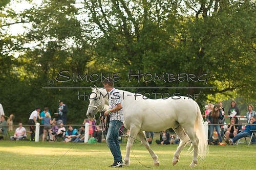 (c)SimoneHomberg_Ponyfest_Schauprogramm_20150606_0258