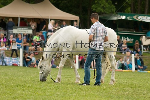 (c)SimoneHomberg_Ponyfest_Schauprogramm_20150606_0259