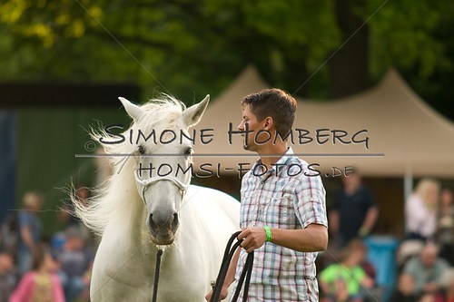 (c)SimoneHomberg_Ponyfest_Schauprogramm_20150606_0260