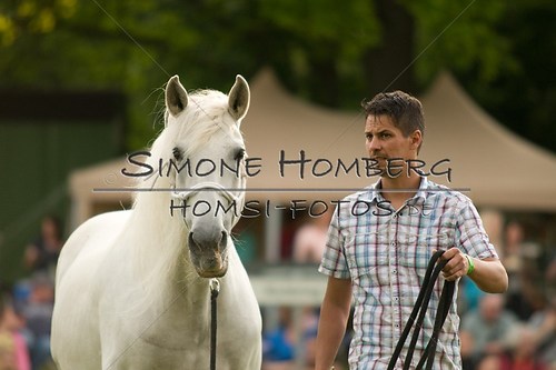 (c)SimoneHomberg_Ponyfest_Schauprogramm_20150606_0261