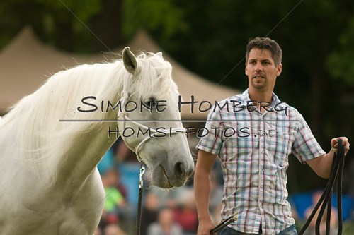 (c)SimoneHomberg_Ponyfest_Schauprogramm_20150606_0262