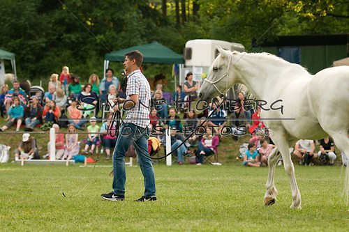 (c)SimoneHomberg_Ponyfest_Schauprogramm_20150606_0264