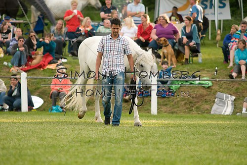 (c)SimoneHomberg_Ponyfest_Schauprogramm_20150606_0265