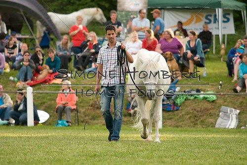 (c)SimoneHomberg_Ponyfest_Schauprogramm_20150606_0266