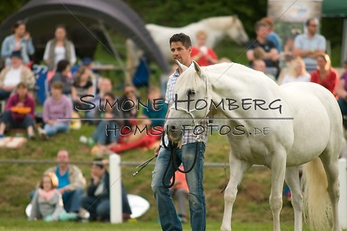 (c)SimoneHomberg_Ponyfest_Schauprogramm_20150606_0267
