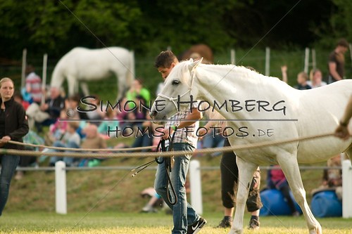 (c)SimoneHomberg_Ponyfest_Schauprogramm_20150606_0268