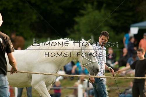 (c)SimoneHomberg_Ponyfest_Schauprogramm_20150606_0270