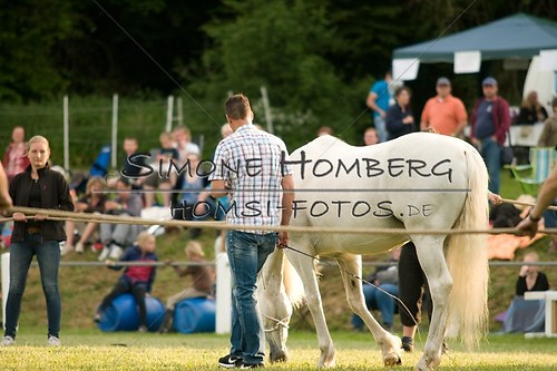 (c)SimoneHomberg_Ponyfest_Schauprogramm_20150606_0271