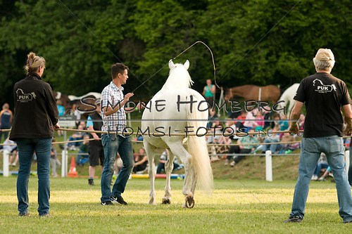 (c)SimoneHomberg_Ponyfest_Schauprogramm_20150606_0273