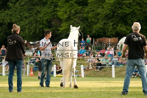 (c)SimoneHomberg_Ponyfest_Schauprogramm_20150606_0274