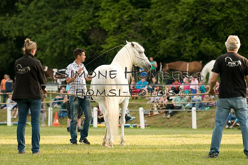 (c)SimoneHomberg_Ponyfest_Schauprogramm_20150606_0275