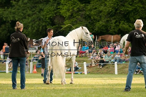 (c)SimoneHomberg_Ponyfest_Schauprogramm_20150606_0276