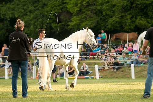(c)SimoneHomberg_Ponyfest_Schauprogramm_20150606_0279