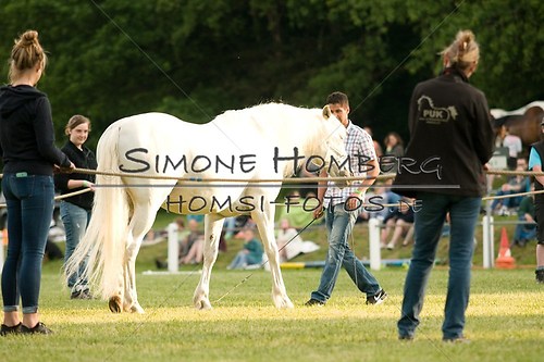 (c)SimoneHomberg_Ponyfest_Schauprogramm_20150606_0284