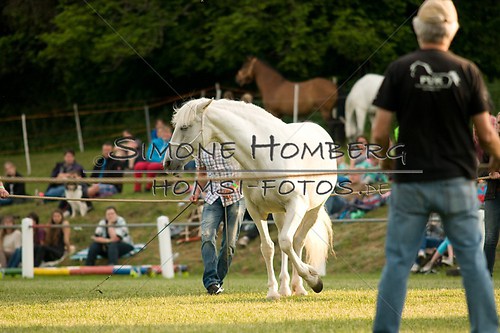 (c)SimoneHomberg_Ponyfest_Schauprogramm_20150606_0286