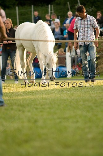 (c)SimoneHomberg_Ponyfest_Schauprogramm_20150606_0288
