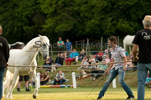 (c)SimoneHomberg_Ponyfest_Schauprogramm_20150606_0296