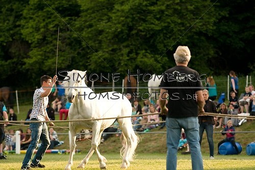 (c)SimoneHomberg_Ponyfest_Schauprogramm_20150606_0298
