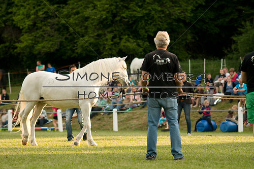 (c)SimoneHomberg_Ponyfest_Schauprogramm_20150606_0300