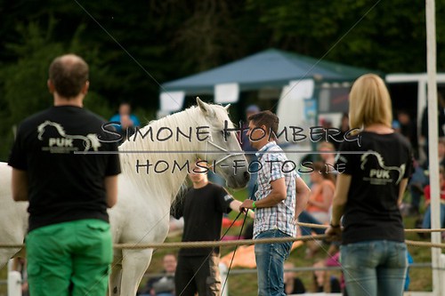 (c)SimoneHomberg_Ponyfest_Schauprogramm_20150606_0304