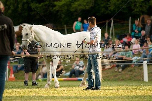 (c)SimoneHomberg_Ponyfest_Schauprogramm_20150606_0309