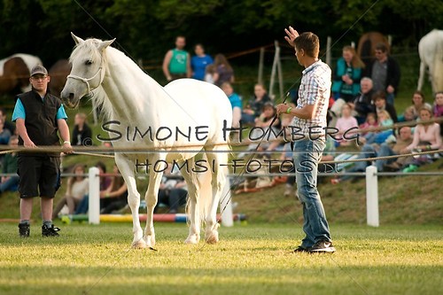 (c)SimoneHomberg_Ponyfest_Schauprogramm_20150606_0311