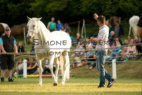 (c)SimoneHomberg_Ponyfest_Schauprogramm_20150606_0312