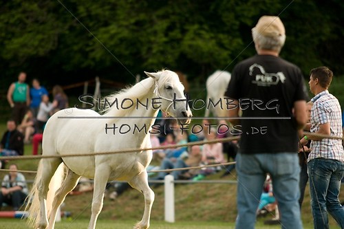 (c)SimoneHomberg_Ponyfest_Schauprogramm_20150606_0313