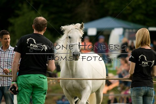 (c)SimoneHomberg_Ponyfest_Schauprogramm_20150606_0314