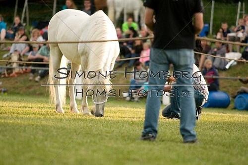 (c)SimoneHomberg_Ponyfest_Schauprogramm_20150606_0315