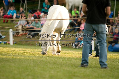(c)SimoneHomberg_Ponyfest_Schauprogramm_20150606_0317