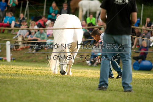 (c)SimoneHomberg_Ponyfest_Schauprogramm_20150606_0318
