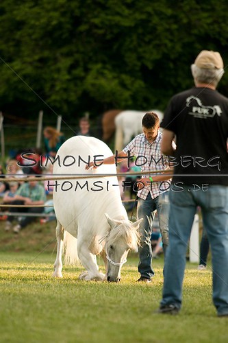 (c)SimoneHomberg_Ponyfest_Schauprogramm_20150606_0319