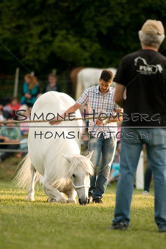 (c)SimoneHomberg_Ponyfest_Schauprogramm_20150606_0320