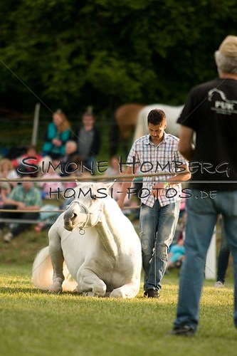 (c)SimoneHomberg_Ponyfest_Schauprogramm_20150606_0321