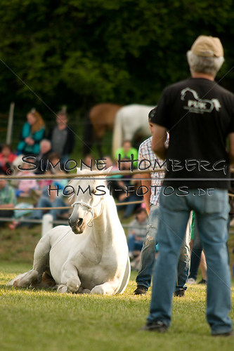 (c)SimoneHomberg_Ponyfest_Schauprogramm_20150606_0322