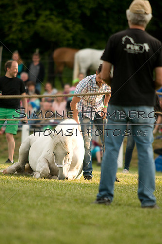 (c)SimoneHomberg_Ponyfest_Schauprogramm_20150606_0323