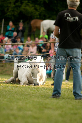 (c)SimoneHomberg_Ponyfest_Schauprogramm_20150606_0324