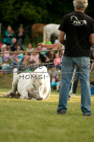 (c)SimoneHomberg_Ponyfest_Schauprogramm_20150606_0325