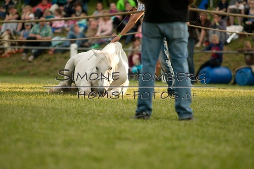 (c)SimoneHomberg_Ponyfest_Schauprogramm_20150606_0326