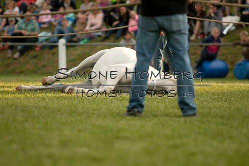 (c)SimoneHomberg_Ponyfest_Schauprogramm_20150606_0328