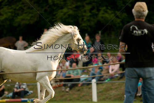 (c)SimoneHomberg_Ponyfest_Schauprogramm_20150606_0329