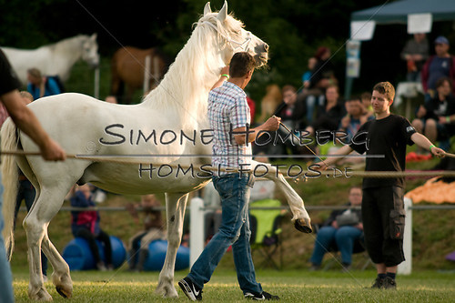 (c)SimoneHomberg_Ponyfest_Schauprogramm_20150606_0330