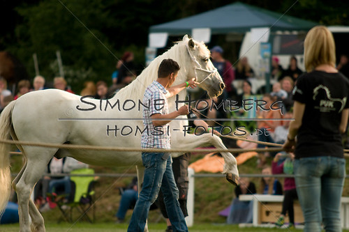 (c)SimoneHomberg_Ponyfest_Schauprogramm_20150606_0331