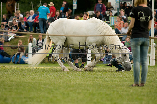 (c)SimoneHomberg_Ponyfest_Schauprogramm_20150606_0333