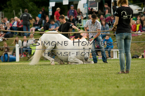 (c)SimoneHomberg_Ponyfest_Schauprogramm_20150606_0335