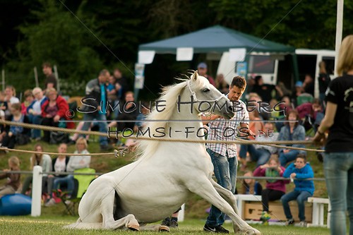 (c)SimoneHomberg_Ponyfest_Schauprogramm_20150606_0336
